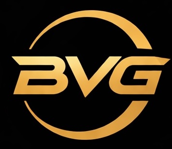Business Velocity Group
